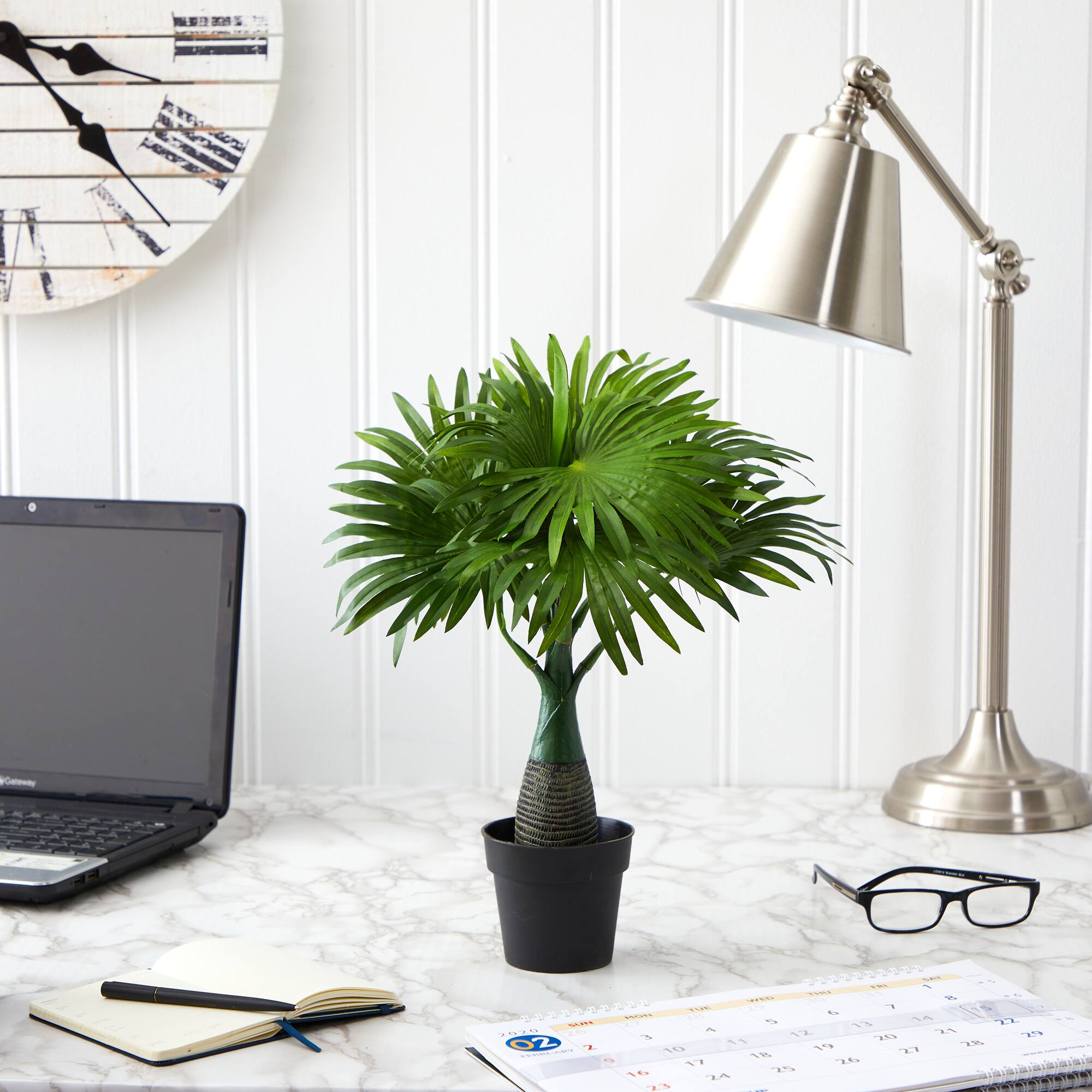 15.5" Potted Mini Fountain Palm Plant